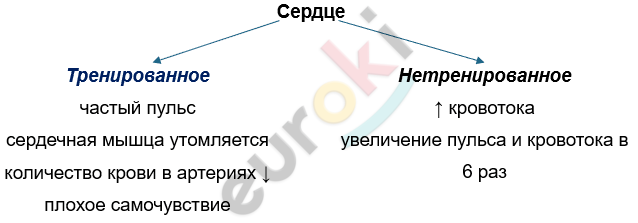 Изображение выглядит как текст, снимок экрана, Шрифт, линия Автоматически созданное описание