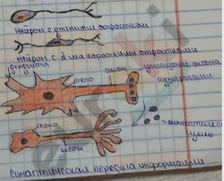 Изображение выглядит как Детское искусство, рукописный текст, текст, рисунок Автоматически созданное описание