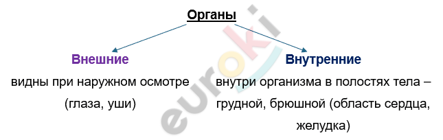 Изображение выглядит как текст, снимок экрана, Шрифт, линия Автоматически созданное описание