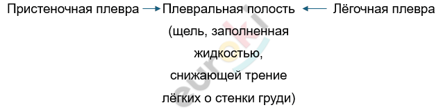 Изображение выглядит как текст, снимок экрана, Шрифт, алгебра Автоматически созданное описание