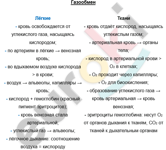 Изображение выглядит как текст, снимок экрана, Шрифт, документ Автоматически созданное описание