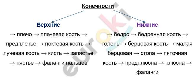 Изображение выглядит как текст, снимок экрана, Шрифт, линия Автоматически созданное описание