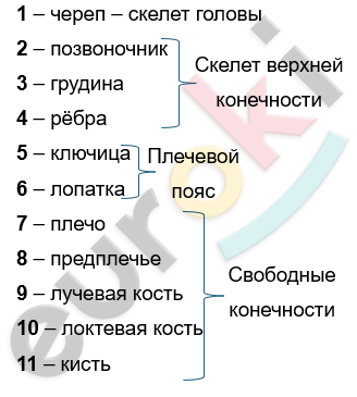 Изображение выглядит как текст, снимок экрана, Шрифт, число Автоматически созданное описание