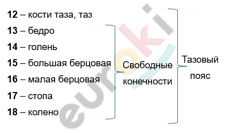 Изображение выглядит как текст, снимок экрана, Шрифт, линия Автоматически созданное описание