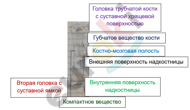 Изображение выглядит как текст, снимок экрана, Шрифт, линия Автоматически созданное описание