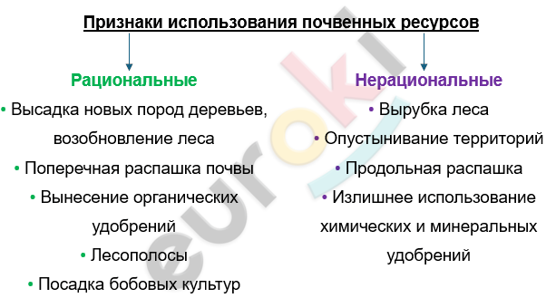 Изображение выглядит как текст, снимок экрана, Шрифт Автоматически созданное описание