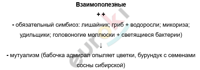 Изображение выглядит как текст, Шрифт, снимок экрана, белый Автоматически созданное описание