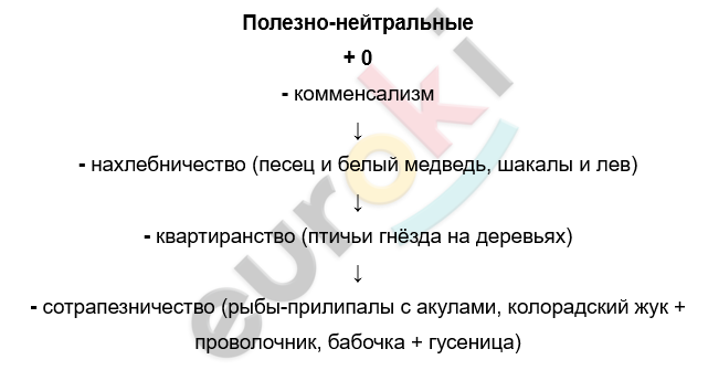 Изображение выглядит как текст, снимок экрана, Шрифт, алгебра Автоматически созданное описание