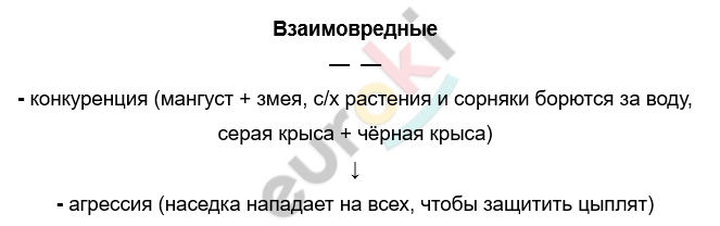 Изображение выглядит как текст, Шрифт, снимок экрана, белый Автоматически созданное описание