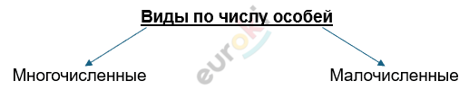 Изображение выглядит как текст, Шрифт, снимок экрана, линия Автоматически созданное описание