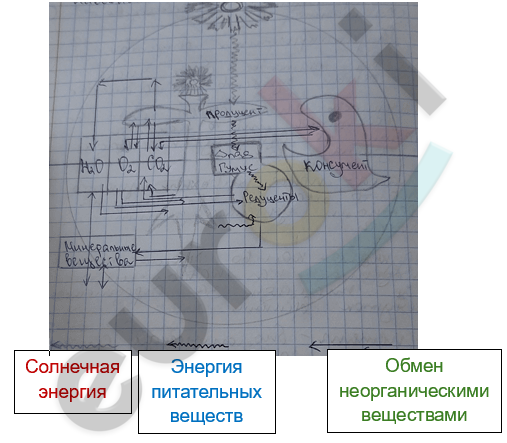 Изображение выглядит как текст, диаграмма, рукописный текст, План Автоматически созданное описание