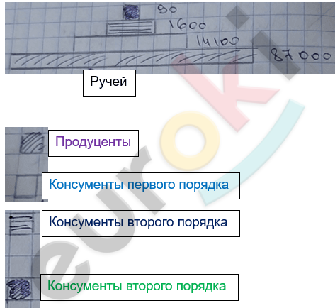 Изображение выглядит как текст, снимок экрана, линия, Параллельный Автоматически созданное описание