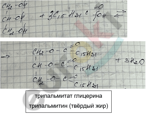 Изображение выглядит как текст, рукописный текст, Шрифт, документ Автоматически созданное описание