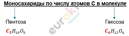 Изображение выглядит как текст, снимок экрана, Шрифт, линия Автоматически созданное описание