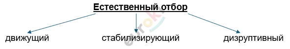 Изображение выглядит как текст, Шрифт, линия, снимок экрана Автоматически созданное описание