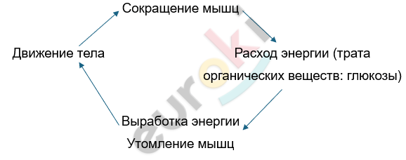 Изображение выглядит как текст, снимок экрана, Шрифт, линия Автоматически созданное описание