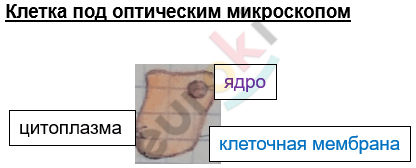 Изображение выглядит как текст, снимок экрана Автоматически созданное описание