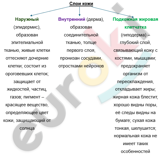 Изображение выглядит как текст, снимок экрана, Шрифт, документ Автоматически созданное описание