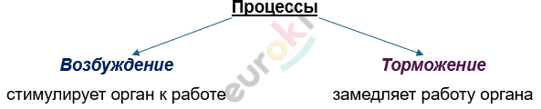 Изображение выглядит как текст, Шрифт, линия, снимок экрана Автоматически созданное описание