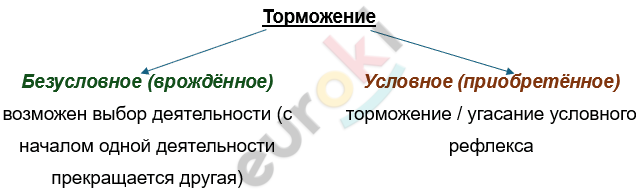 Изображение выглядит как текст, снимок экрана, Шрифт, линия Автоматически созданное описание