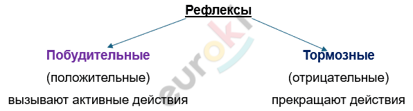 Изображение выглядит как текст, снимок экрана, Шрифт, линия Автоматически созданное описание