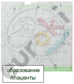 Изображение выглядит как текст, диаграмма, зарисовка, Шрифт Автоматически созданное описание