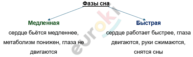 Изображение выглядит как текст, снимок экрана, Шрифт, линия Автоматически созданное описание