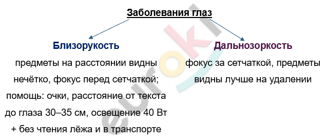 Изображение выглядит как текст, снимок экрана, Шрифт, линия Автоматически созданное описание