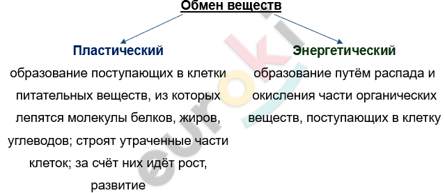 Изображение выглядит как текст, снимок экрана, Шрифт, линия Автоматически созданное описание