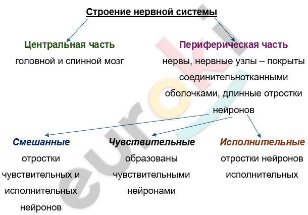 Изображение выглядит как текст, снимок экрана, Шрифт, линия Автоматически созданное описание