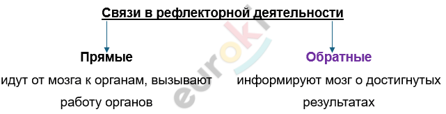 Изображение выглядит как текст, снимок экрана, Шрифт, линия Автоматически созданное описание