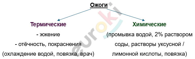 Изображение выглядит как текст, снимок экрана, Шрифт, линия Автоматически созданное описание