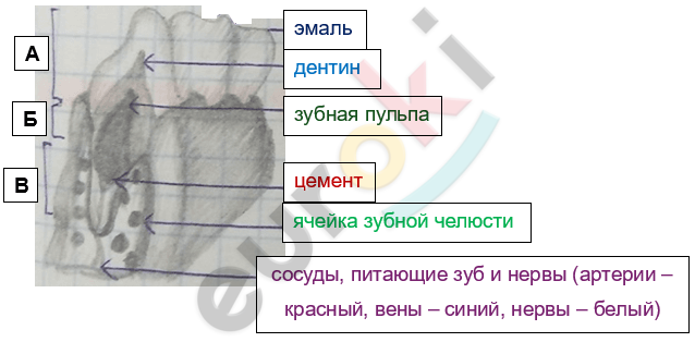 Изображение выглядит как текст, снимок экрана, диаграмма Автоматически созданное описание