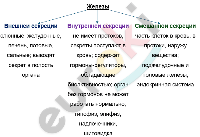 Изображение выглядит как текст, снимок экрана, Шрифт, линия Автоматически созданное описание