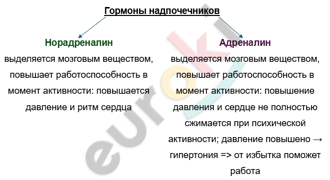 Изображение выглядит как текст, снимок экрана, Шрифт Автоматически созданное описание