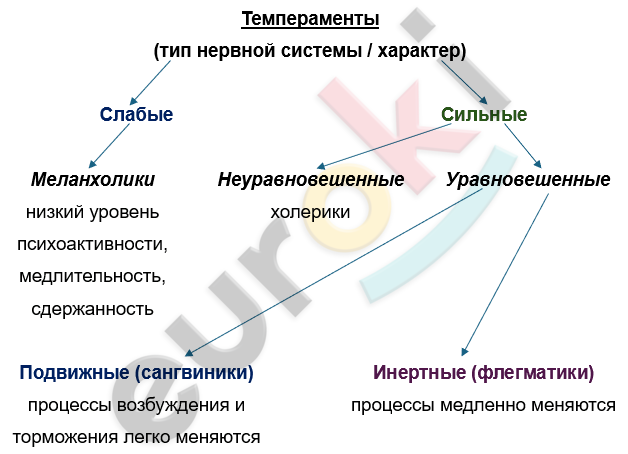 Изображение выглядит как текст, снимок экрана, линия, Шрифт Автоматически созданное описание