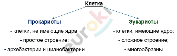 Изображение выглядит как текст, снимок экрана, Шрифт, линия Автоматически созданное описание