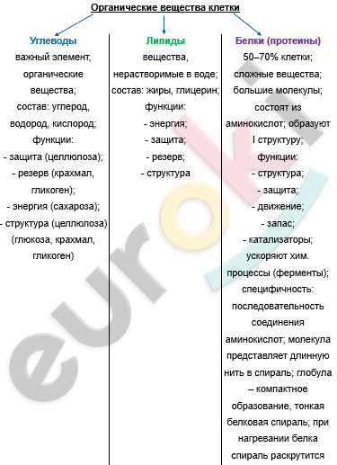 Изображение выглядит как текст, снимок экрана, Шрифт, документ Автоматически созданное описание