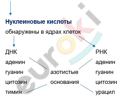 Изображение выглядит как текст, снимок экрана, Шрифт, линия Автоматически созданное описание