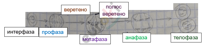 Изображение выглядит как снимок экрана, текст, линия, Шрифт Автоматически созданное описание