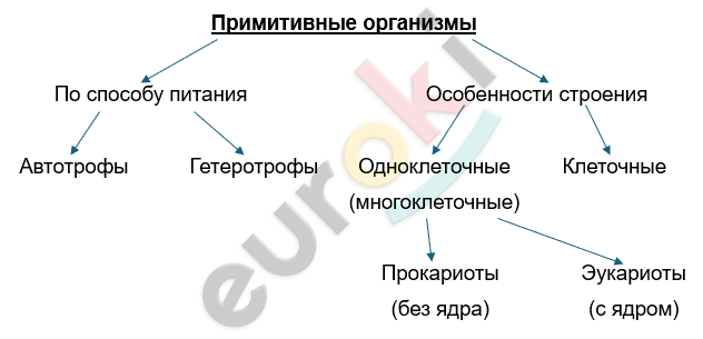 Изображение выглядит как текст, снимок экрана, линия, Шрифт Автоматически созданное описание