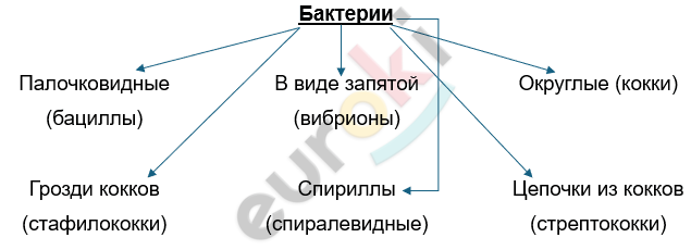 Изображение выглядит как текст, линия, снимок экрана, Шрифт Автоматически созданное описание