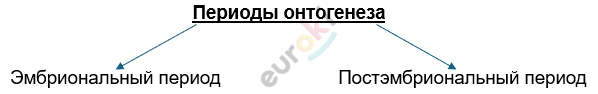 Изображение выглядит как текст, Шрифт, линия, снимок экрана Автоматически созданное описание