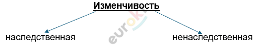 Изображение выглядит как текст, линия, Шрифт, снимок экрана Автоматически созданное описание