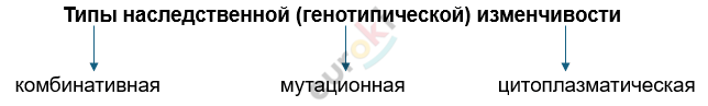 Изображение выглядит как текст, снимок экрана, Шрифт, линия Автоматически созданное описание