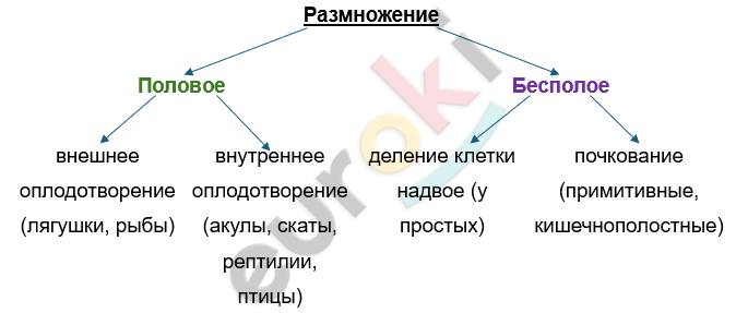 Изображение выглядит как текст, снимок экрана, линия, Шрифт Автоматически созданное описание