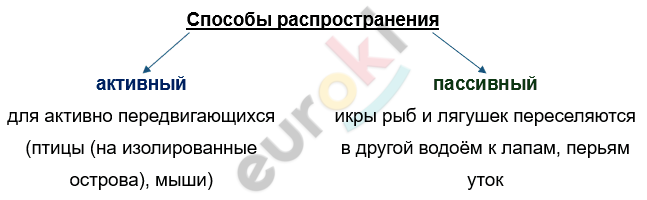 Изображение выглядит как текст, снимок экрана, Шрифт, линия Автоматически созданное описание