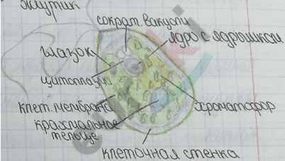 Изображение выглядит как текст, рукописный текст, бумага, письмо Автоматически созданное описание