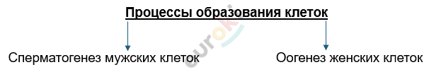 Изображение выглядит как текст, Шрифт, снимок экрана, линия Автоматически созданное описание